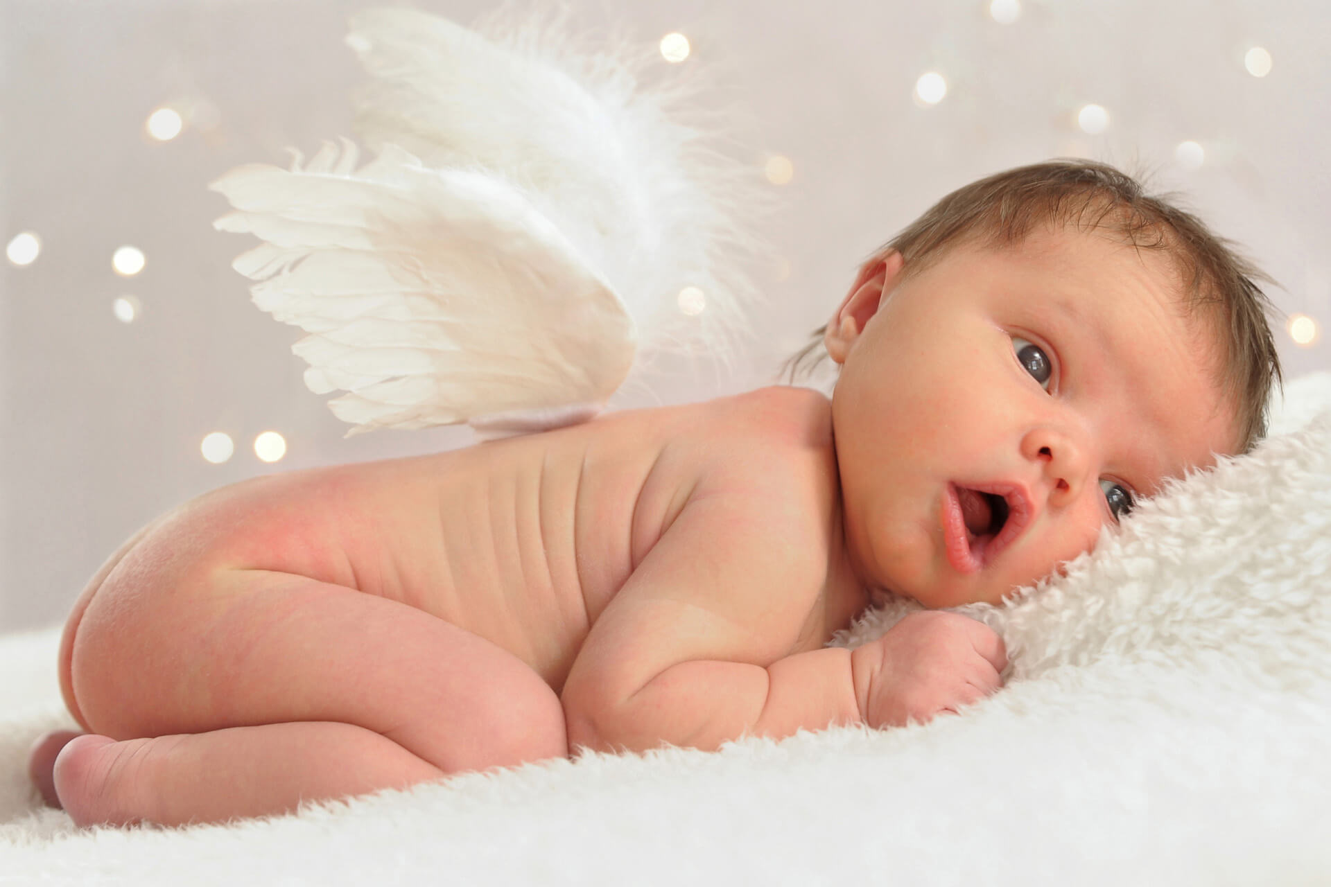 Best Detroit baby photographer's newborn photos of a metro Detroit newborn with wings in my baby studio in Troy, Detroit, Michigan.